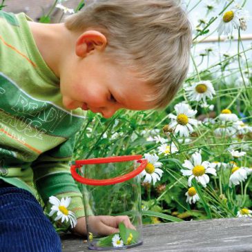 Riesenbecherlupe Große Tierchen große Lupe - Kisus - Kinder, Spiel und Spaß - Naturkunde