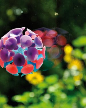 Saugball Wie ein Gecko ... bleibt dieser Ball durch die flexiblen Saugflächen an glatten Oberflächen kleben - wie z. B. Fensterscheiben, Fliesen, Metallflächen. - Kisus e.K. - Kinder, Spiel und Spaß