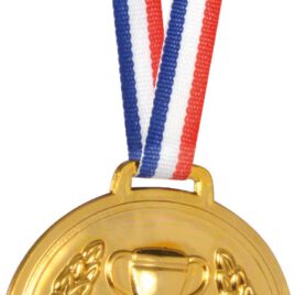 Medaille zum Beschriften Jeder kann ein Sieger sein - Kisus e.K. - Kinder, Spiel und Spaß