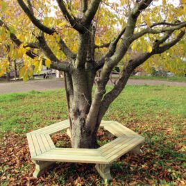 6-Eck-Baumbank Kiefer Viel Platz rund um Baum oder Tisch ... Die 6-Eck-Bank bietet eine große Sitzfläche und ist daher optimal geeignet für Schulhöfe und öffentliche Spielplätze. Gerne werden die Bänke um einen schattenspendenden Baum herum aufgestellt oder mit einem Tisch in der Mitte. Die 6 vormontierten Sitzflächen werden direkt mit den massiven Füßen verschraubt für einen sicheren und stabilen Stand. - Kisus e.K. - Kinder, SPiel und Spaß - FAchgroßhandel für Kindergarten, Kita, Hort und Schule
