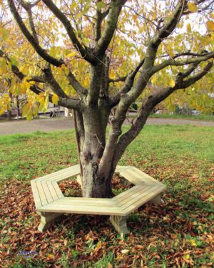 6-Eck-Baumbank Kiefer Viel Platz rund um Baum oder Tisch ... Die 6-Eck-Bank bietet eine große Sitzfläche und ist daher optimal geeignet für Schulhöfe und öffentliche Spielplätze. Gerne werden die Bänke um einen schattenspendenden Baum herum aufgestellt oder mit einem Tisch in der Mitte. Die 6 vormontierten Sitzflächen werden direkt mit den massiven Füßen verschraubt für einen sicheren und stabilen Stand. - Kisus e.K. - Kinder, SPiel und Spaß - FAchgroßhandel für Kindergarten, Kita, Hort und Schule