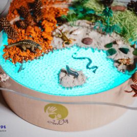 Faszinationsschale transparent für Leuchtkübel Transparente Wanne mit Ablagefläche ... Die transparente Faszinationsschale passt optimal auf den Leuchtkübel (nicht inkl.). Als Indoor-Matschtisch, für Experimente mit Wasser, Farben oder Sand ist die 4 cm tiefe Schale mit Rand als Ablagefläche toll geeignet und bietet vielfältige Möglichkeiten der Sinneserfahrung. - Kisus e.K. - Kinder, Spiel und Spaß - Fachgroßhandel für Kindergartenbedar, Spielwaren und Bastelbedarf