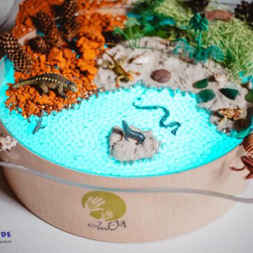 Faszinationsschale transparent für Leuchtkübel Transparente Wanne mit Ablagefläche ... Die transparente Faszinationsschale passt optimal auf den Leuchtkübel (nicht inkl.). Als Indoor-Matschtisch, für Experimente mit Wasser, Farben oder Sand ist die 4 cm tiefe Schale mit Rand als Ablagefläche toll geeignet und bietet vielfältige Möglichkeiten der Sinneserfahrung. - Kisus e.K. - Kinder, Spiel und Spaß - Fachgroßhandel für Kindergartenbedar, Spielwaren und Bastelbedarf