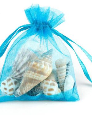 Muscheln im Organzabeutel