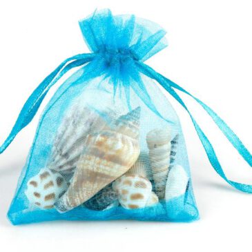 Muscheln im Organzabeutel