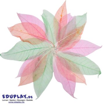 Transparente Blätter 20er Set 20 transparente Blätter ... Diese Blätter sind ideal für Collagen und Bastelarbeiten. Kisus e.K. - Kinder, Spiel und Spaß - Großhandel für Kindergartenausstattung, Spielwaren und Bastelbedarf