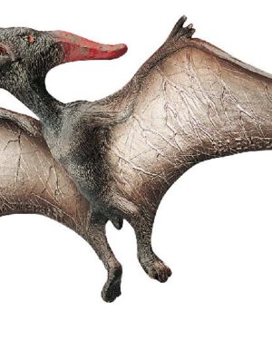 Pteranodon Spielfigur Dieser geflügelte und zahnlose Flugsaurier ... war mit einer Flügelspannweite von mehr als 8 m eines der größten fliegenden Lebewesen aller Zeiten. Die schnabelförmige Mundöffnung war dem Fang von Fischen und anderen Meerestieren angepasst. Am Hals fällt ein Sack auf und der Schwanz war stark reduziert. Der Schädel trug hinten einen langen Knochenkamm. Da die Beine den Körper auf festem Boden nicht trugen, fütterte der Pteranodon seine Jungen aus der Luft. Die Figur ist naturalistisch von Hand bemalt.