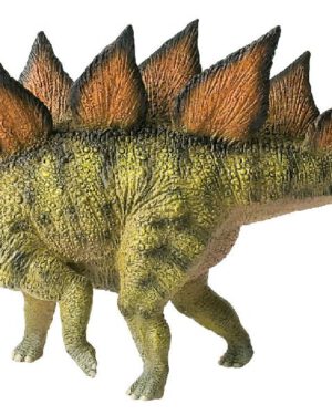Stegosaurus Spielfigur Der Stegosaurus gehört zur Gattung der Dinosaurier Er lebte vor 195 Millionen Jahren in Nordamerika. Das ca. 6 Meter lange und 2,5 Meter hohe Urtier hatte zum Schutz vor Feinden dicke, zweireihige Knochenplatten über den Rücken verteilt und mächtige Stacheln am Schwanzende. Der Stegosaurier war ein reiner Pflanzenfresser und bewegte sich nur langsam auf allen Vieren. Bedingt durch seinen kleinen Kopf hatte er nur ein kleines Gehirn, dafür aber im Rückenmark ein zweites Nervensystem in zehnfacher Größe. Die Figur ist naturalistisch von Hand bemalt.