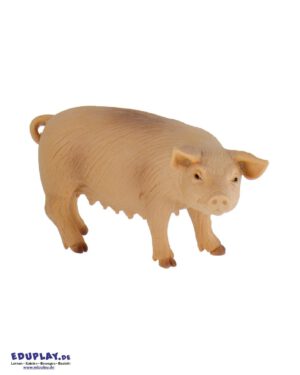 Mutterschwein Spielfigur Auf dem Bauernhof leben viele verschiedene Tiere ... wie zum Beispiel auch das Schwein. Hausschweine werden fast überall auf der Welt gehalten. Das weibliche Schwein wird Sau genannt und kann zweimal im Jahr bis zu sieben Ferkel bekommen. Das Schwein ist ein neugieriges Tier und lebt gerne in Gesellschaft. Der Ringelschwanz zeigt, dass es dem Schwein gut geht. Wenn es grunzt fühlt es sich wohl und wenn es laut quiekt ist es aufgeregt. Wenn es sich im Schlamm wälzt gehört das zu seiner Körperpflege. Es schützt damit seine Haut vor Ungeziefer und Sonnenbrand. Die PVC-freie Spielfigur ist naturgetreu von Hand bemalt. Mit dem Gütesiegel SPIEL GUT ausgezeichnet.