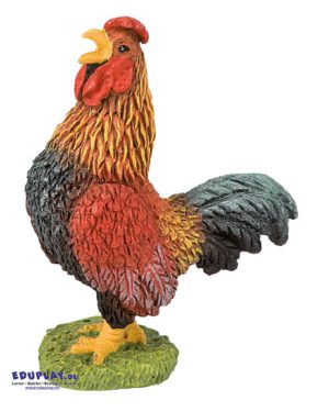 Hahn Spielfigur Ein männliches Huhn nennt man Hahn oder Gockel ... Er ist auch deutlich größer als das Huhn. Typisch für die Tiere sind der rote Kamm und die Kehlklappen am Kopf. Vor allem bei dem Hahn ist der Kamm sehr groß. Haushühner sind Vögel, die die meiste Zeit auf dem Boden leben. Sie können nicht besonders gut fliegen, aber dafür umso schneller rennen. Außerdem sind sie kurzsichtig. Alles was mehr als 50 m entfernt ist können sie nicht mehr erkennen. Hühner fressen Pflanzen, Fleisch, Fisch, Körner, Insekten und Würmer. Die Haushühner leben meist draußen auf der Wiese. In der Nacht brauchen sie einen Stall wo sie vor den Feinden und der Kälte geschützt sind. Die PVC-freie Spielfigur ist naturgetreu von Hand bemalt. Mit dem Gütesiegel SPIEL GUT ausgezeichnet.