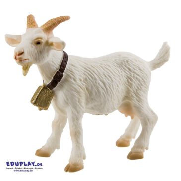 Ziege Spielfigur Ziegen gibt es heute auf der ganzen Welt ... und sind neben Hunden und Schafen die ältesten Haustiere der Menschen. Das Weibchen wird Geiß oder Ziege genannt. Sowohl die Männchen als auch die Weibchen tragen Hörner. Ziegen sind sehr geschickte Kletterer. Sie steigen auf die steilsten Berge und manchmal sogar auf Bäume. Zum Leben brauchen sie nicht viel. Sie finden in der trockensten Gegen ein paar Halme und Blätter. Sie fressen Gras, Heu, Obst und Kräuter. Die PVC-freie Spielfigur ist naturgetreu von Hand bemalt. Mit dem Gütesiegel SPIEL GUT ausgezeichnet.