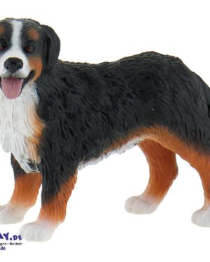 Berner Sennenhund Spielfigur Berner Sennenhunde sind selbstsicher ... gutmütig sowie freundlich und deshalb nicht nur gute Haus- und Hofhunde, sondern auch beliebte Familienhunde. Sie haben zudem einen ausgeprägten Wachtrieb, ohne dabei aggressiv zu sein. Berner Sennenhunde sind aber wenig geeignet für Hundesportarten, die ihnen große Wendigkeit und Schnelligkeit abverlangen. Es bietet sich eher Zughundearbeit, eine Rettungshunde- oder Fährtensuchhund-Ausbildung, sowie Einsatzbereiche an, bei denen eine Art vorausahnender Gehorsam erforderlich ist. Sie brauchen viel Bewegungsfreiheit. Heißes Wetter macht ihnen aufgrund ihres langen und dichten Fellkleides zu schaffen. Im Winter und bei kühlen oder frostigen Temperaturen fühlen sie sich deshalb am Wohlsten. Die PVC-freie Spielfigur ist naturgetreu von Hand bemalt. Mit dem Gütesiegel SPIEL GUT ausgezeichnet.