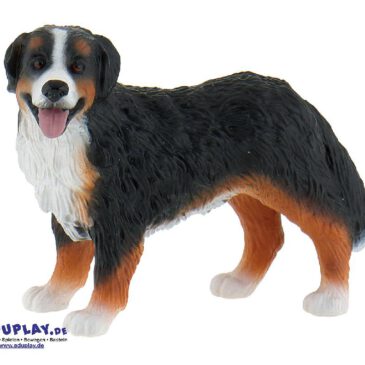 Berner Sennenhund Spielfigur Berner Sennenhunde sind selbstsicher ... gutmütig sowie freundlich und deshalb nicht nur gute Haus- und Hofhunde, sondern auch beliebte Familienhunde. Sie haben zudem einen ausgeprägten Wachtrieb, ohne dabei aggressiv zu sein. Berner Sennenhunde sind aber wenig geeignet für Hundesportarten, die ihnen große Wendigkeit und Schnelligkeit abverlangen. Es bietet sich eher Zughundearbeit, eine Rettungshunde- oder Fährtensuchhund-Ausbildung, sowie Einsatzbereiche an, bei denen eine Art vorausahnender Gehorsam erforderlich ist. Sie brauchen viel Bewegungsfreiheit. Heißes Wetter macht ihnen aufgrund ihres langen und dichten Fellkleides zu schaffen. Im Winter und bei kühlen oder frostigen Temperaturen fühlen sie sich deshalb am Wohlsten. Die PVC-freie Spielfigur ist naturgetreu von Hand bemalt. Mit dem Gütesiegel SPIEL GUT ausgezeichnet.