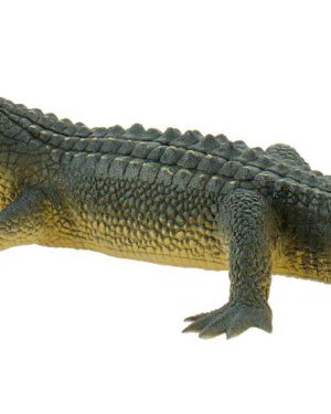 Alligator Spielfigur Der Alligator gehört zur Familie der Krokodile ... Alligatoren sind große und gefährliche Tiere. Der Alligator lebt im Wasser und kann sehr gut schwimmen. Mit Hilfe seines langen Schwanzes und seinen Beinen bewegt er sich schnell im Wasser fort. Morgens und abends liegt er auf Sandbänken und die Nacht verbringt er im Wasser. Wenn er Hunger hat, geht er auf Jagd. Alligatoren sind sehr gute Jäger. Meistens liegen sie im Wasser und warten darauf, dass Beute auftaucht und packen dann zu. Ihr Opfer wird ins Wasser getaucht und ertränkt. Da sie mit ihren Zähnen nur zubeißen können, aber nicht kauen, verschlingen sie die Fleischstücke ganz. Die PVC-freie Spielfigur ist naturgetreu von Hand bemalt. Mit dem Gütesiegel SPIEL GUT ausgezeichnet.