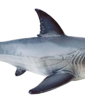 Hai Spielfigur Der weiße Hai ist die größte fleischfressende Hai-Art weltweit ... er ernährt sich von Robben, Seehunden, Seelöwen, Delphinen, Schildkröten, Thunfischen, Vögeln und sogar anderen Haien. Die Tiere gelten allgemein als sehr neugierig und können oft dabei beobachtet werden, menschliche Aktivitäten zu untersuchen oder häufig in der Nähe von Booten, den Kopf aus dem Wasser zu strecken. Leider kam es aufgrund dessen schon öfter zu Unfällen, die für den Menschen mitunter tödlich endeten. Wie alle Hai-Arten hat auch der Weiße Hai ein sogenanntes Revolvergebiss, das heißt seine Zähne können bei Verlust jederzeit nachgebildet werden. Die PVC-freie Spielfigur ist naturgetreu von Hand bemalt.