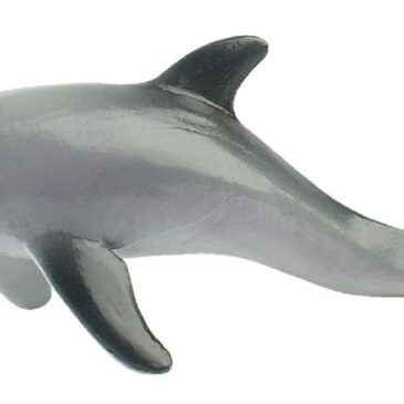 Delfin Spielfigur Delfine zählen zu den Meeressäugetieren ... mit der höchsten emotionalen Intelligenz. Sie sind sehr sozial und leben in Gruppen, sogenannten Schulen. Die Delfine können sich mit Klicklauten, Pfeifen, Schnattern und anderen Geräuschen untereinander verständigen. Forscher haben sogar herausgefunden, dass sich Große Tümmler mittels persönlicher Pfeiflaute identifizieren können. Damit geben sich die Tiere nicht nur individuell zu erkennen, sondern werden von Mitgliedern ihrer Gruppe mit diesem Pfeiflaut angerufen und antworten auch darauf. Dieser Laut ist durch die Lautfolge und nicht durch die Charakteristik der Stimme definiert und wird daher wie ein Name verwendet, ein bis heute einzigartiges Phänomen im Tierreich. Die PVC-freie Spielfigur ist naturgetreu von Hand bemalt.