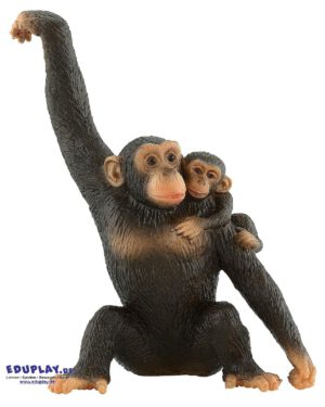 Affenmama mit Kind Spielfigur Schimpansen sind unsere nächsten Verwandten im Tierreich ... Das Verhalten von Mensch und Tier ist sehr ähnlich. Der Schimpanse gilt als das intelligenteste Tier. Zum Beispiel benutzen sie Steine und Holzstücke als Hammer, Äste, mit denen sie nach Nahrung stochern oder zerkaute Blätter als Schwamm. Sprechen können Schimpansen leider nicht. Dennoch wurde in Zoos den Tieren eine Art Zeichensprache beigebracht, mit der sie sich mit Tierpflegern verständigen können. Die Tiere sind am Tag sehr aktiv. Sie leben auf dem Boden und auf Bäumen. Mit ihren Händen können sie sich geschickt von Ast zu Ast hangeln. Schimpansen sind Allesfresser. Hauptsächlich fressen sie Blätter, Blüten, Früchte, Samen und Nüsse. Aber auch Insekten und Raupen nehmen sie zu sich. Die PVC-freie Spielfigur ist naturgetreu von Hand bemalt.