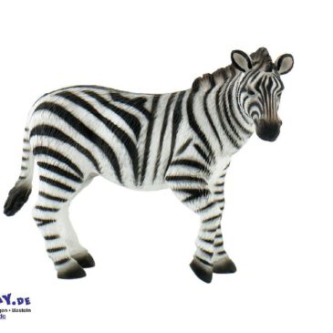 Zebra Spielfigur Zebras leben in großen Herden in Afrika ... Sie wissen genau, wer zu ihrer Familie gehört. Sie erkennen sich am Geruch, an der Stimme und an der Zeichnung ihrer Streifen. Gras und Kräuter gehören zu ihren Lieblingsessen, da sie reine Pflanzenfresser sind. Auch das Trinken ist für sie elementar, jedoch können sie bis zu drei Tage ohne Wasser auskommen. Das auffällige Streifenmuster dient vor allem der Regulierung der Körpertemperatur, hilft aber auch dabei Insekten abzuwehren und sich untereinander zu identifizieren. Die PVC-freie Spielfigur ist naturgetreu von Hand bemalt. Mit dem Gütesiegel SPIEL GUT ausgezeichnet.