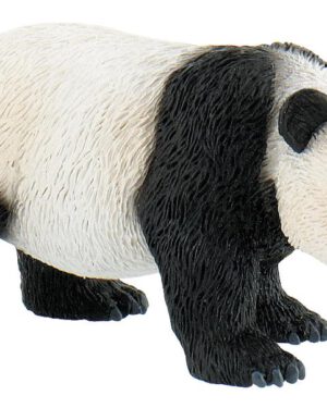 Panda Spielfigur Der Panda kommt aus China ... und dieses Land verlässt er auch auf gar keinen Fall. Denn nur in China gibt es sein Lieblingsessen: Bambus! Doch um mit Bambus satt zu werden, frisst er am Tag bis zu 20 kg davon. Pandababys sind im Vergleich zu ausgewachsenen Tieren echte Winzlinge - sie wiegen nur 90-130 g. Ihr Fell ist am Anfang noch weiß und erst nach vier Wochen zeigt sich die typische Fellzeichnung. Bis zu 5 Monaten werden sie von der Mutter gesäugt, erst dann nehmen sie feste Nahrung auf. Ein besonderes Merkmal ist ihr Fell. Durch den großen Kontrast zwischen schwarz und weiß lösen sich die Umrisse seiner Gestalt auf. Dadurch sind sie am Tag sehr gut getarnt und müssen sich über Angriffe von Feinden nicht ständig Sorgen machen. Die PVC-freie Spielfigur ist naturgetreu von Hand bemalt. Mit dem Gütesiegel SPIEL GUT ausgezeichnet.