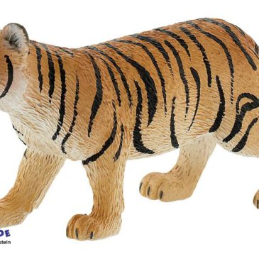 Tiger Spielfigur Die Tiger sind Einzelgänger ... Das Männchen und Weibchen leben voneinander getrennt. Nur zur Paarungszeit treffen sie sich. 100 Tage ist das Kind im Bauch der Mutter. Die ersten 5-6 Wochen wird das Kleine mit Muttermilch versorgt. Danach füttert die Mutter sie mit Jagdbeute. Außerdem sind Tiger sehr faul. Selbst wenn sie auf Jagd gehen, hetzen sie ihrer Beute nicht hinterher. Sie setzen ihr Gehirn ein und verstecken sich am Flussufer, denn dorthin müssen die Tiere kommen um zu trinken. Die PVC-freie Spielfigur ist naturgetreu von Hand bemalt. Mit dem Gütesiegel SPIEL GUT ausgezeichnet.