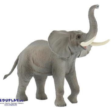 Elefant Spielfigur Es gibt zwei Arten von Elefanten: ... den Indischen Elefanten und den Afrikanischen Elefanten. Der Afrikanische Elefant hat im Vergleich zum Indischen Elefanten viel größere Ohren. Mit Hilfe ihres Rüssels und den Stoßzähnen graben Elefanten in der Trockenzeit auf der Suche nach Wasser tiefe Löcher. Elefanten ernähren sich ausschließlich von Pflanzen, z.B. Heu, Grünfutter, Laub, Baumrinde, Wurzeln und Früchte. Pro Tag essen sie etwa 170 kg frische Pflanzen. Ihr Wasserbedarf ist mit 100 Liter pro Tag sehr hoch und überlebenswichtig. Die PVC-freie Spielfigur ist naturgetreu von Hand bemalt. Mit dem Gütesiegel SPIEL GUT ausgezeichnet.